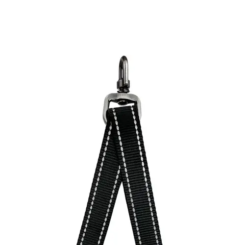 dog collars australia